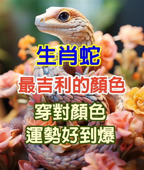 屬蛇適合的顏色|蛇年開運妙招：這些顏色讓你桃花旺盛